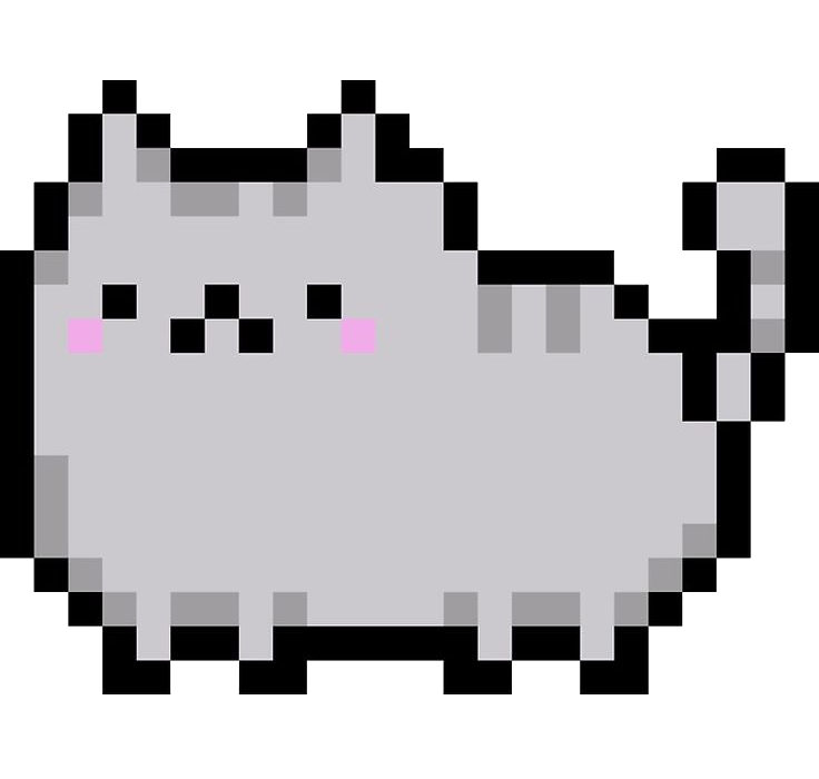 Cat Image